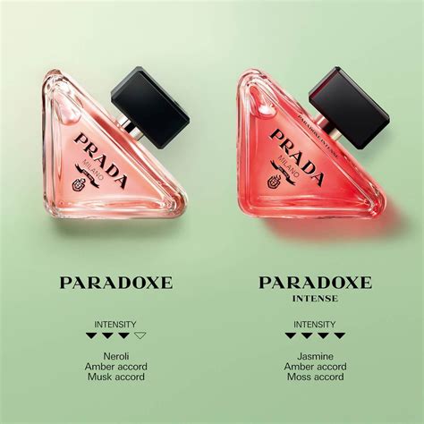 prada paradoxe unterschied|paradoxe intense vs Prada.